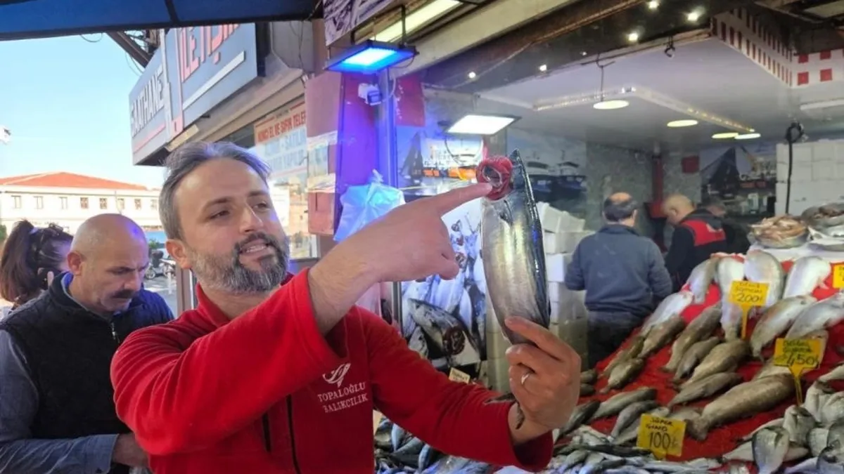 Balıkçılarda palamut alarmı!