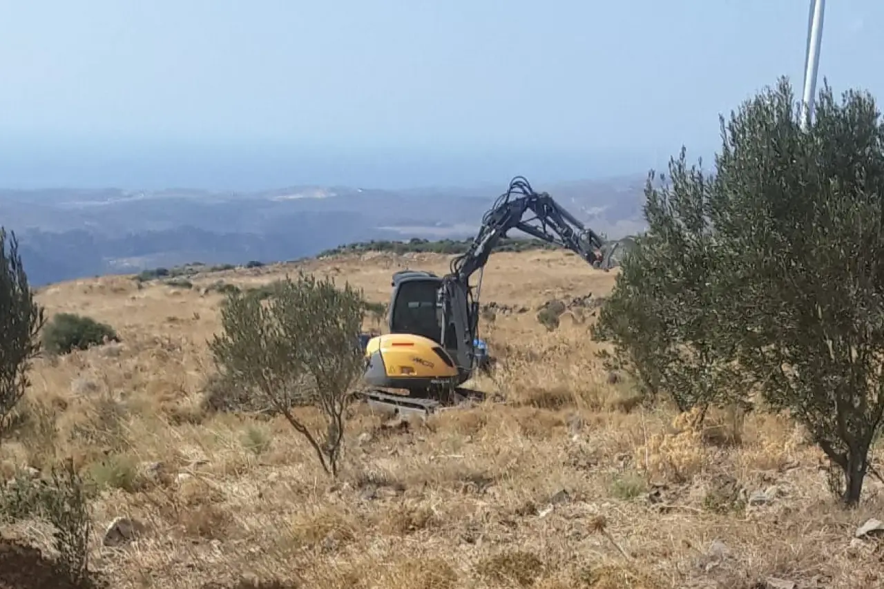 Karaburun'da zeytin katliamına ertelemesiz hapis cezası
