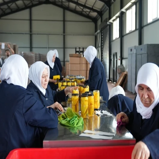 Tarlada kalıyordu, şimdi kapış kapış satılıyor: Avrupa peşine düştü, Almanya ve