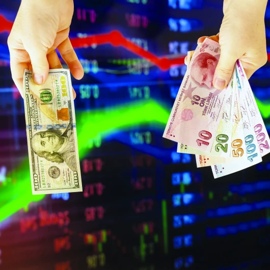 Türk Lirası mevduat bir ayda 7, 4 milyar dolar arttı