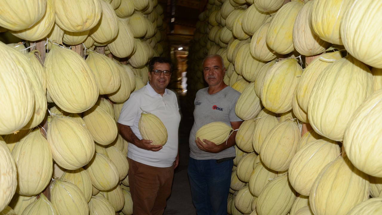 30 bin ton fışkırdı, depoya girmeden hepsi satıldı!