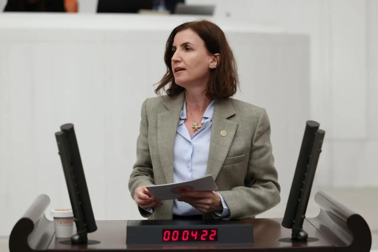 Yeni Partili Aliye Coşar Demre'de orman arazisinde mermer ocağı projesini Meclisin