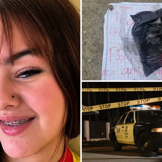 Kayıp TikTok fenomeniyle ilgili kan donduran gelişme: Kesik başı bulundu