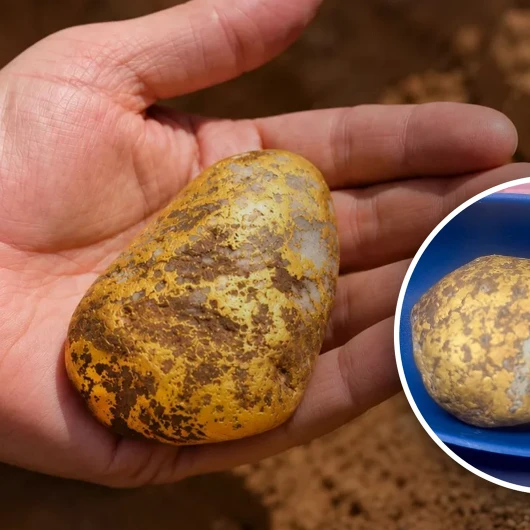 Topraktaki parlak şeyi görünce patates sandı: Meğer hayatının keşfini yapmış