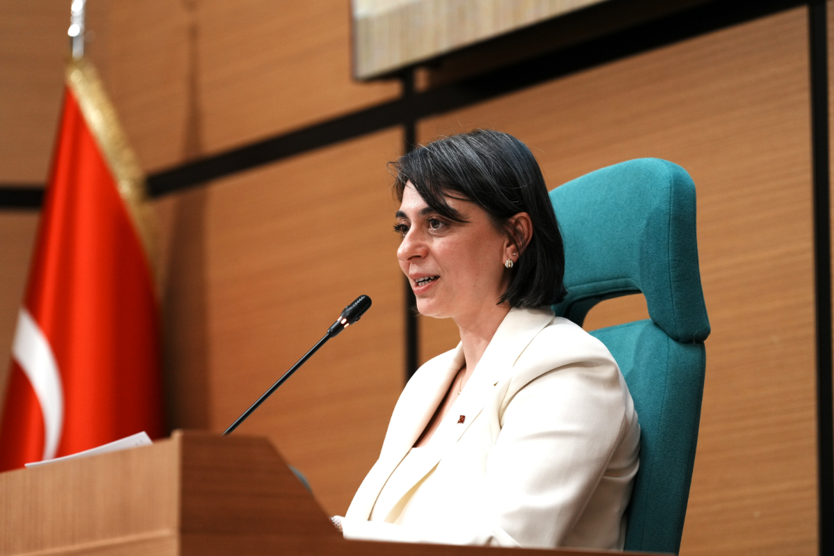 Yeni Parti'den Sinem Dedetaş açıklaması: 'Bir an önce görevinin başına dönmeli'