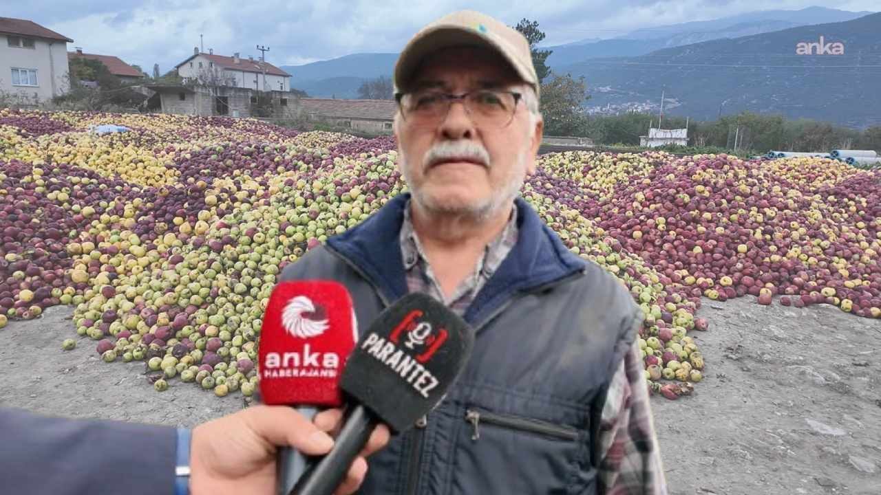 Tarlaya giren üretici ağlayarak çıktı: Tonlarca mahsul çürümeye bırakıldı
