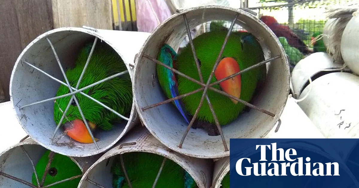 Twice as many plants and animals sold in wildlife trade as previously thought, says report