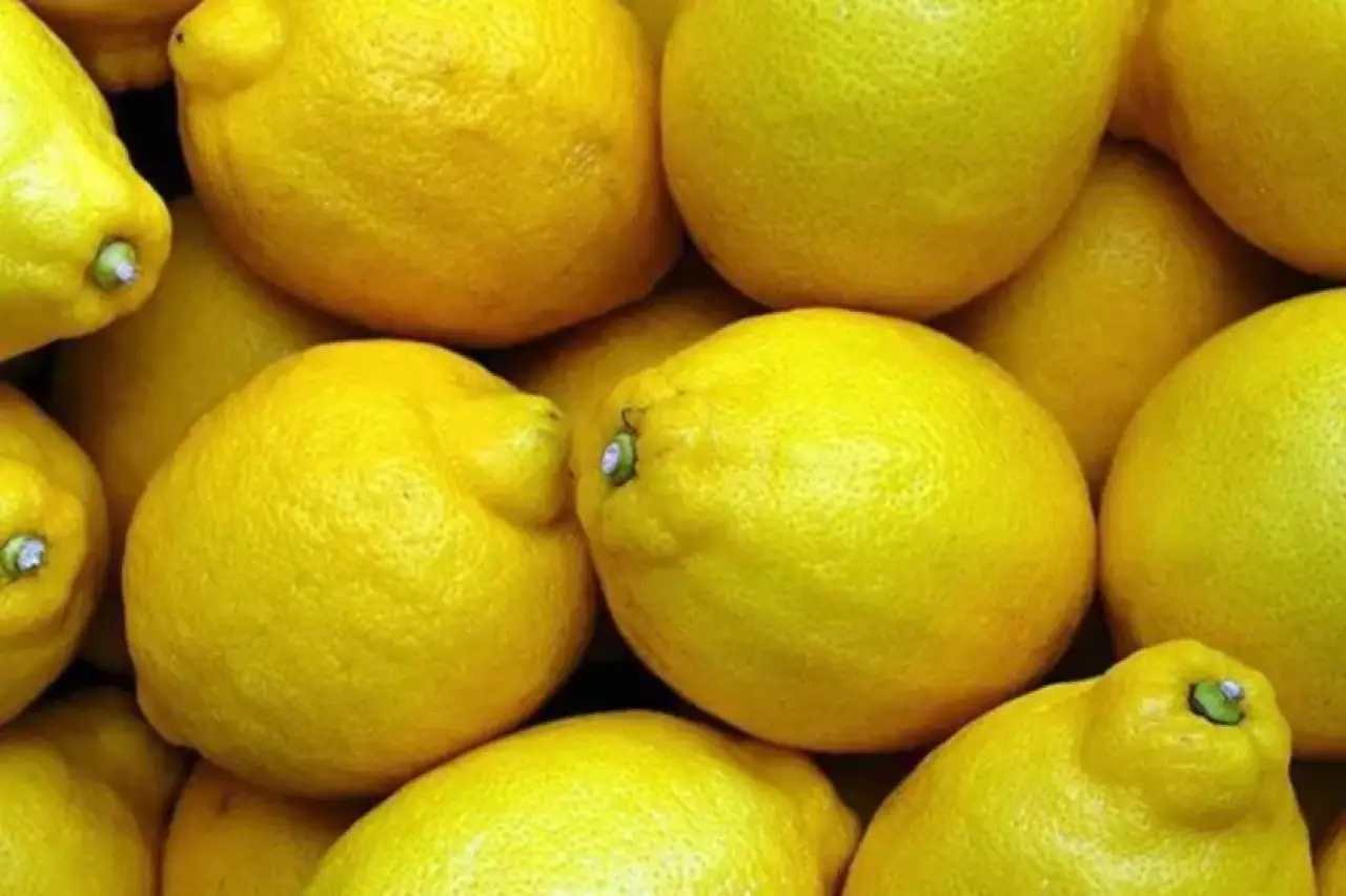 Üretici ile market arasındaki fiyat farkı en çok limonda görüldü: Üreticide 3, 90 liraya